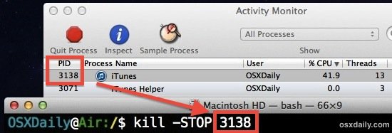 Stop the process in Mac OS X.